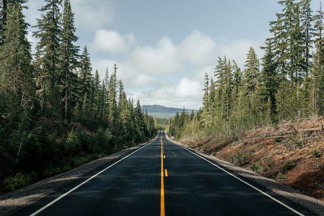 Measurable Carbon Removal 8 Road