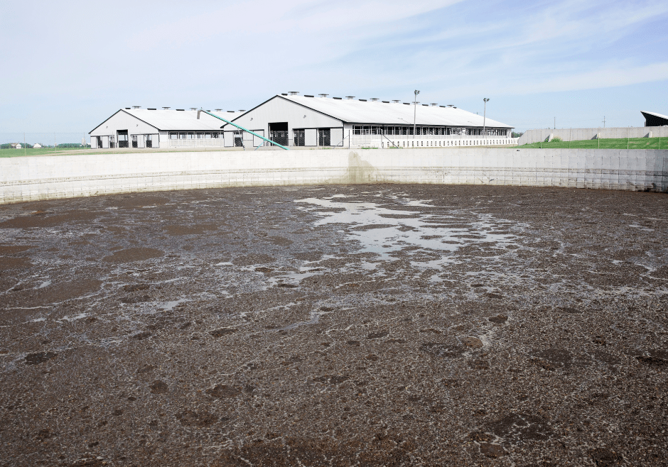 dairy farm showing large circular enclosure of manure